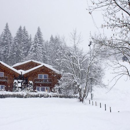 Holiday Home Gunnar - Flu101 By Interhome Flachau Dış mekan fotoğraf