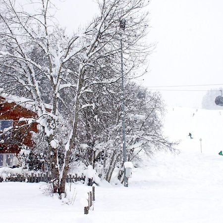 Holiday Home Gunnar - Flu101 By Interhome Flachau Dış mekan fotoğraf