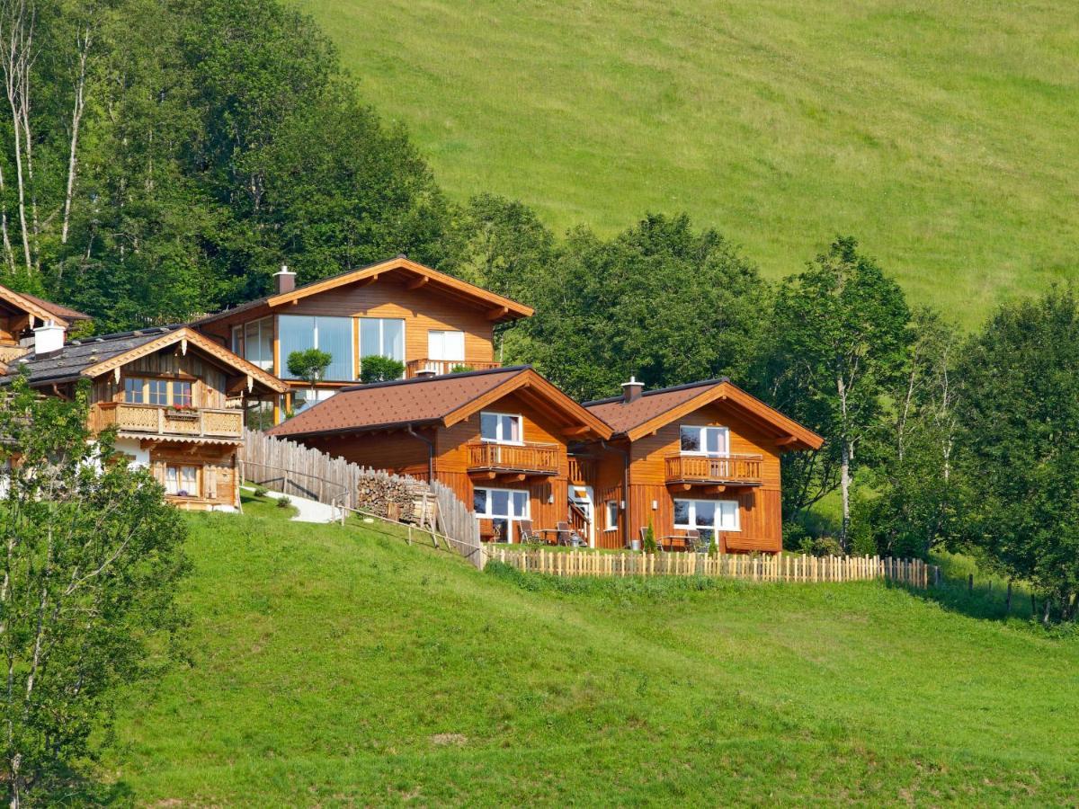 Holiday Home Gunnar - Flu101 By Interhome Flachau Dış mekan fotoğraf