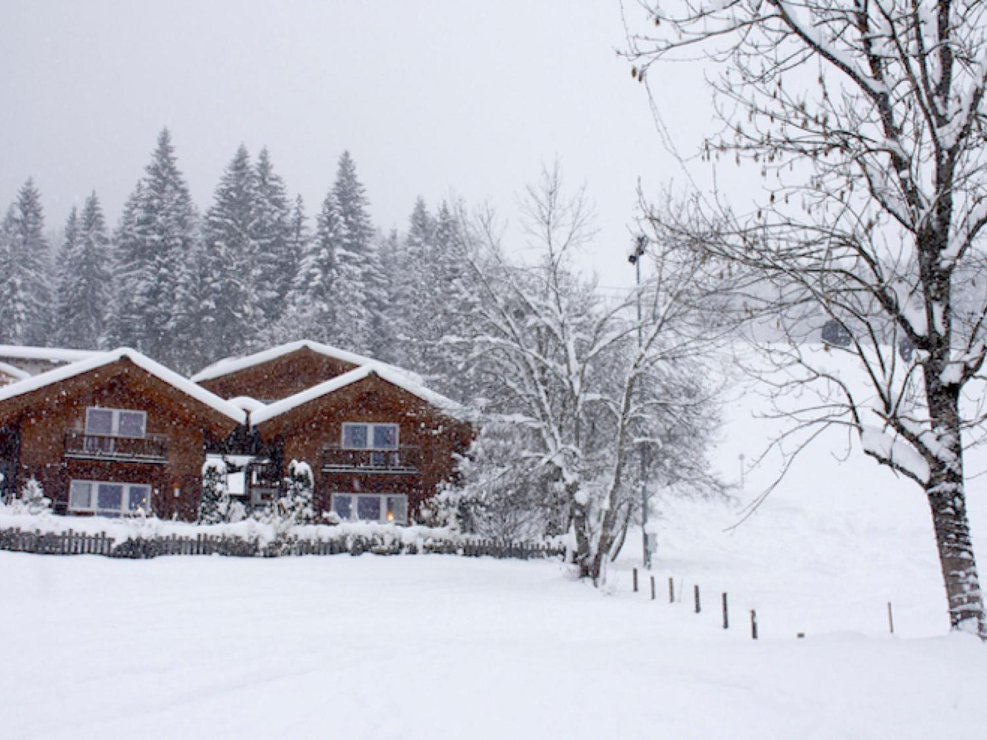 Holiday Home Gunnar - Flu101 By Interhome Flachau Dış mekan fotoğraf